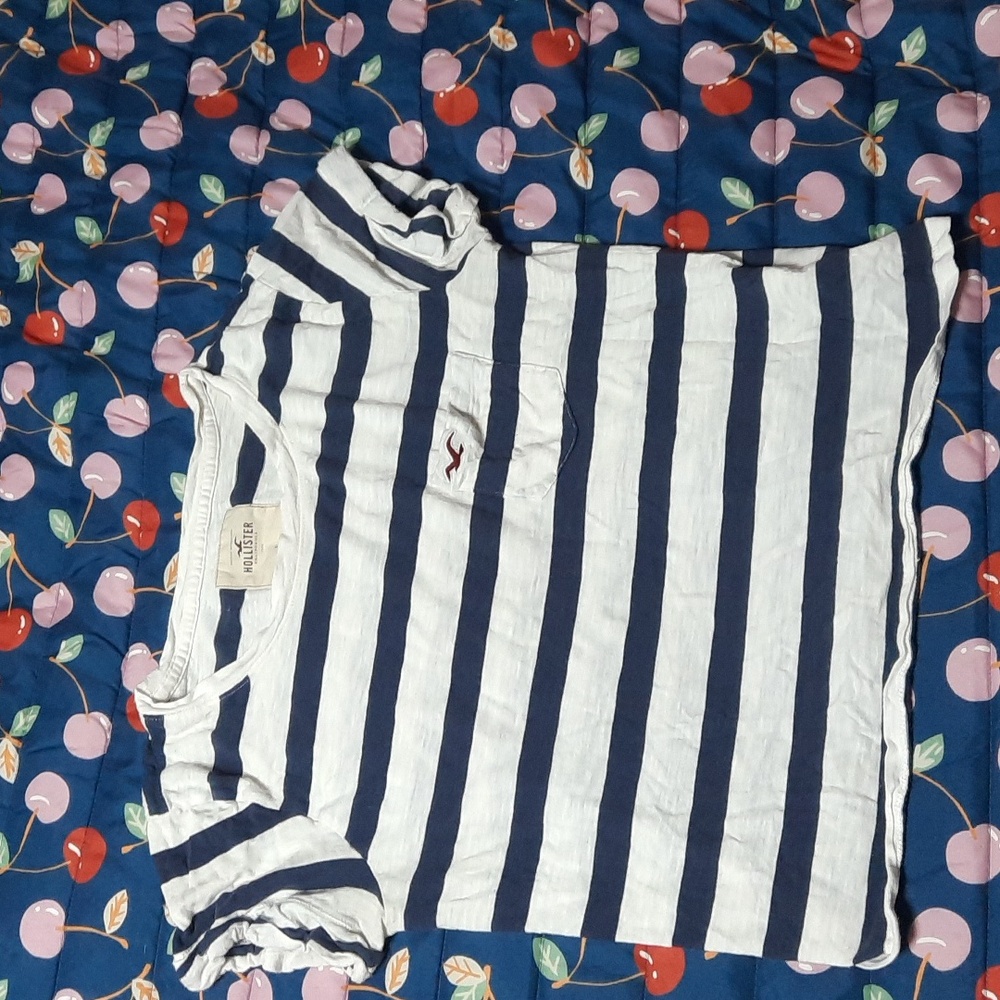 Hollister Striped Crop Top